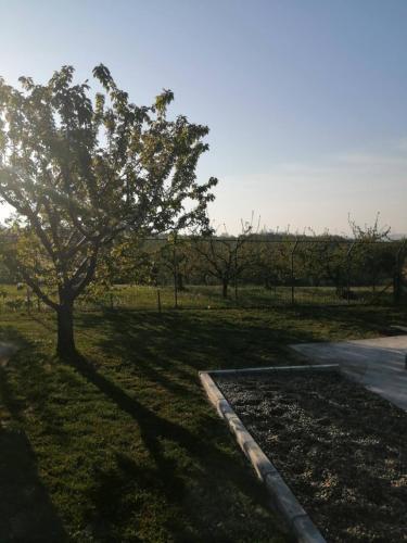 Villa Kuca Sa Bazenom Teja