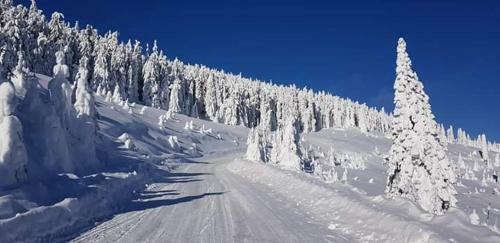 Hostal Katalin Kulcsosh�z