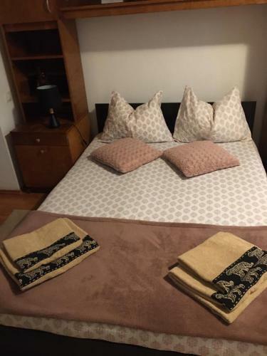 Andy Olteniei Apartament