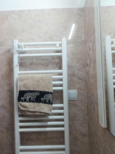 Andy Olteniei Apartament