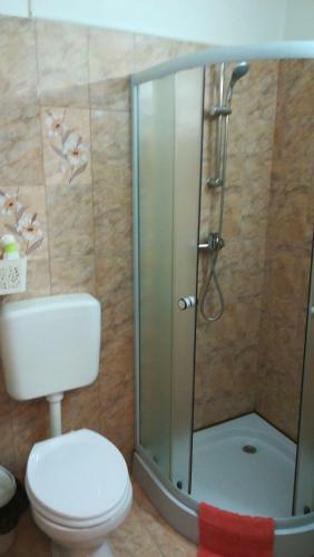 Andy Olteniei Apartament