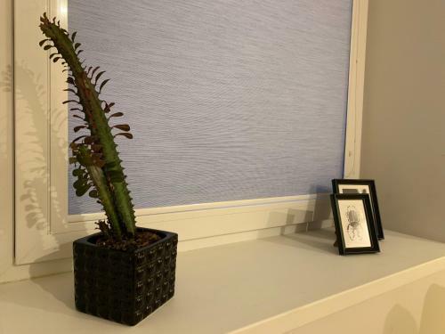 Bright One Bedroom Apartment In Old Town