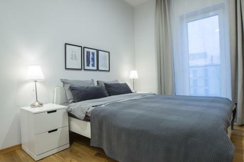 Bright One Bedroom Apartment In Old Town
