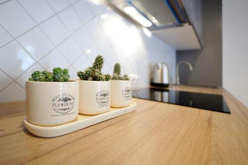Apartamento Host Lovers Old Town