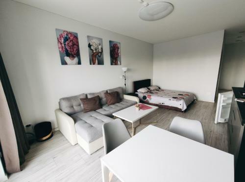 Apartments Viabaltic Kaunas