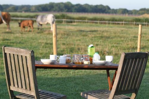 Shepherdshuts-southeast