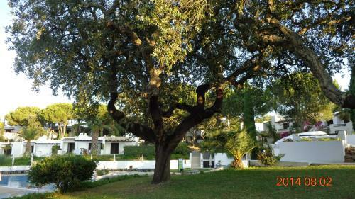 Balaia Luxury Apartment