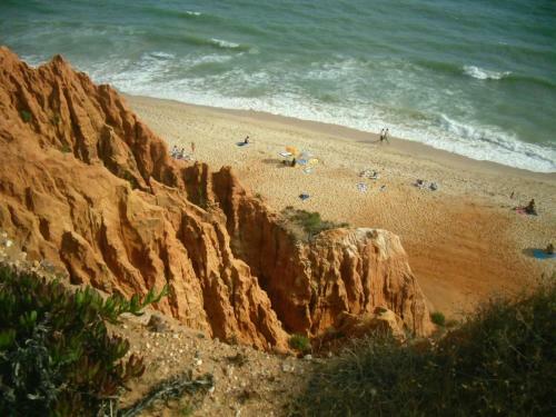 Alfamar V3 Fal�sia Beach