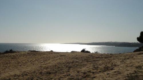 Alfamar V3 Fal�sia Beach