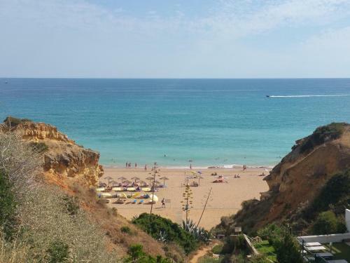 Fantastic Apartment In Jardins Santa Eul�lia