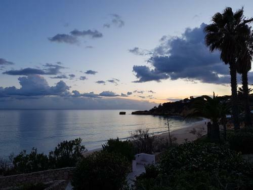 Fantastic Apartment In Jardins Santa Eul�lia