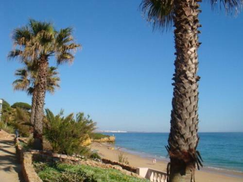 Fantastic Apartment In Jardins Santa Eul�lia