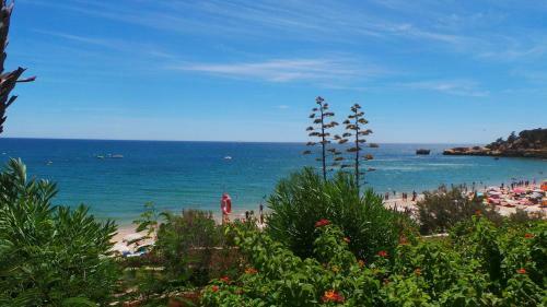Apartamento Albufeira Apt 3 Chambres