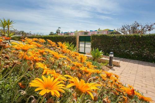 Apartamento Albufeira Marina Gold