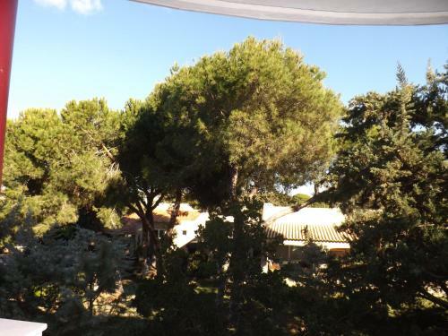 Apartamentos Solmar