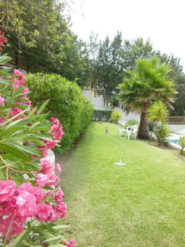 Apartamento Casa Nikolina