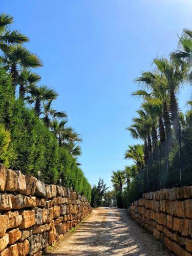 Herdade Dos Salgados Beach Apartment