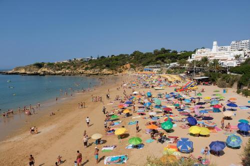 Lotus Villa, Albufeira