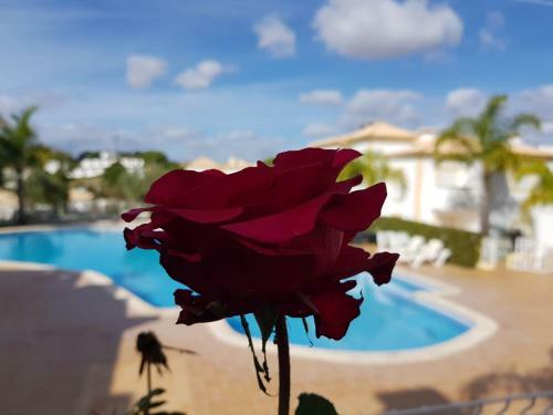 Sergio�s Place - Farm Village