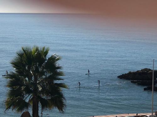 Apartamento Magnifique Appartement Sur La Plage ...