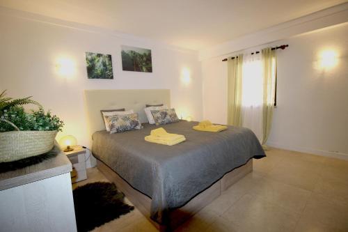 Apartamento Magnifique Appartement Sur La Plage ...