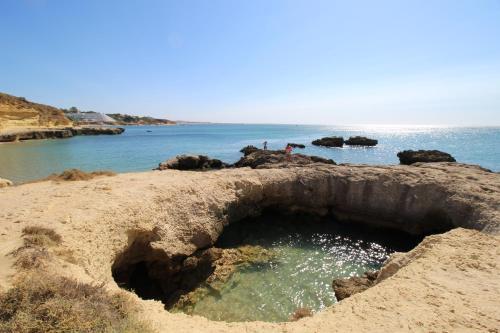 Apartamento Magnifique Appartement Sur La Plage ...
