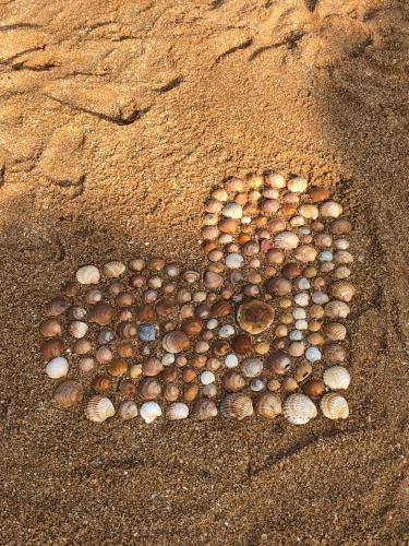 Apartamento Magnifique Appartement Sur La Plage ...