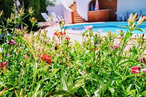 Villa Albufeira Elegance