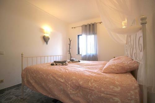 Apartamento Charmant Appartement Au Coeur de Albufeira