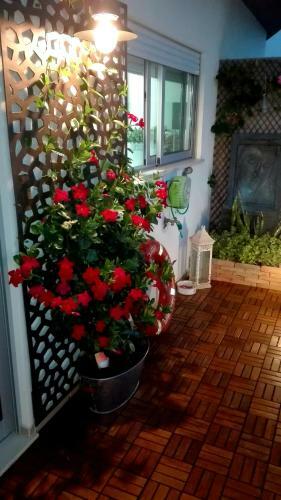 My Sweet Room