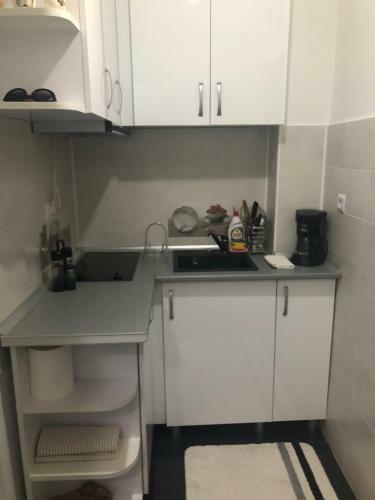 Apartamento Garsoniera Aleea Trandafirilor