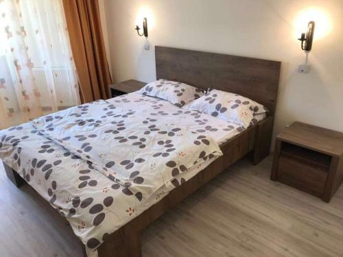Albergue Pensiunea Paradis