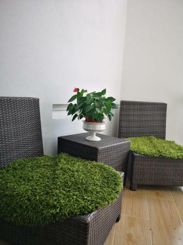 Apartamento Lux Home