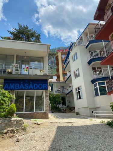 Hostal Pensiunea Ambasador
