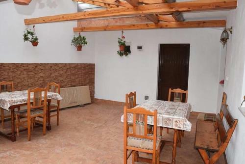 Hostal Casa Visescu