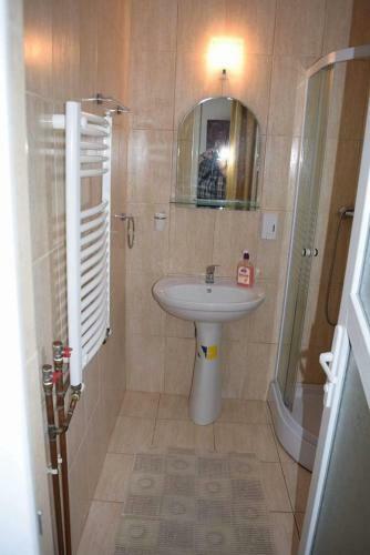 Hostal Casa Visescu