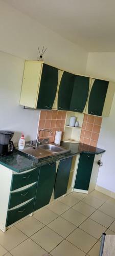 Apartamento Garsoniera Deea B?ile Herculane
