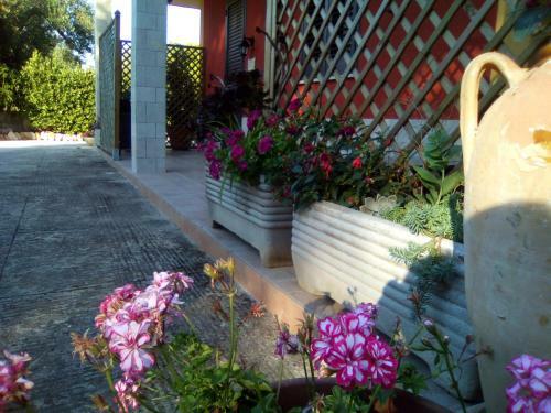 Bed & Breakfast Casa Te La Bradamante