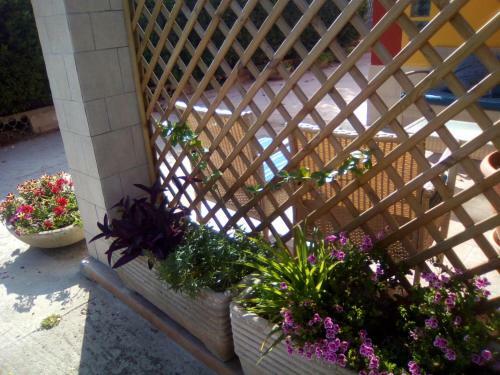 Bed & Breakfast Casa Te La Bradamante