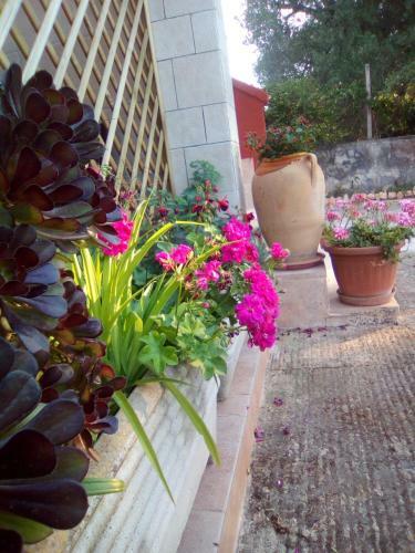 Bed & Breakfast Casa Te La Bradamante