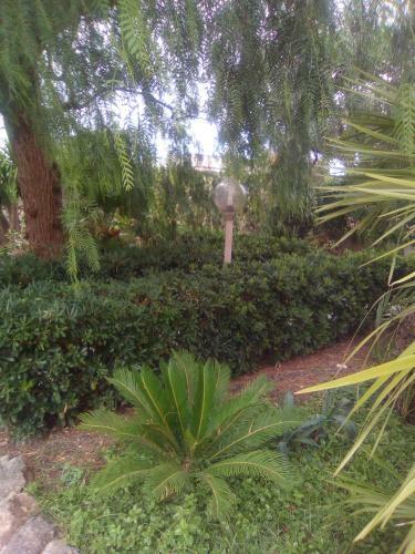 Bed & Breakfast Casa Te La Bradamante