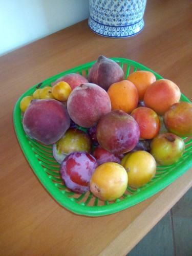 Bed & Breakfast Casa Te La Bradamante