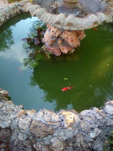 Bed & Breakfast Casa Te La Bradamante