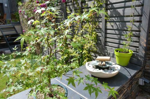Bed & Breakfast Le Beau Repaire