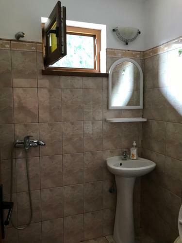 Vila Alpina Ol?ne?ti