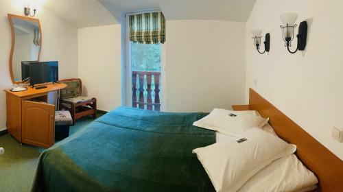 Bed & Breakfast Pensiunea Olt Centrum/ Olt Centrum Panzi�