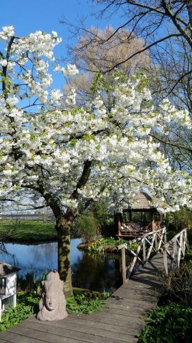 B&B Spoelhof
