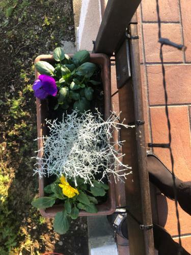 Chalet Anna Chiara
