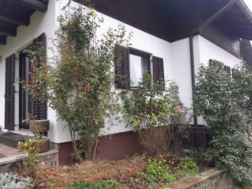 Apartamento Studio In Delnice - Gorski Kotar 40642