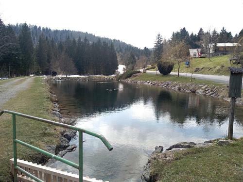 Apartman Ris Gorski Kotar Crni Lug